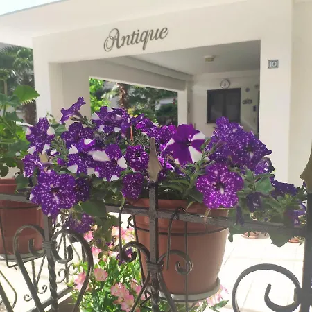 Antique The 2*